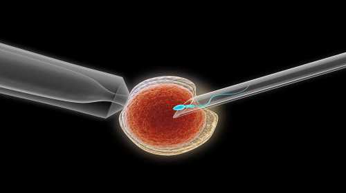 供卵自怀和自己亲妈&卵巢早衰供卵成功率,什么是男性不育的治疗及预防