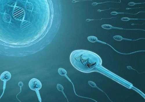 代怀好不好_代怀生宝宝_叶海洋在美国什么医院买的精子？